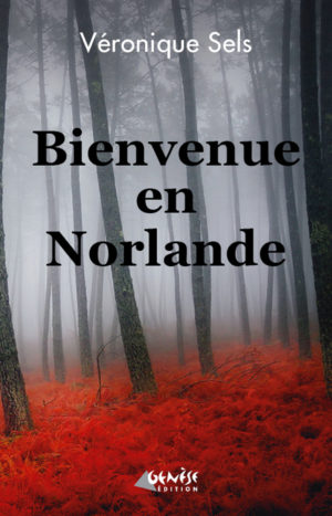 Roman Bienvenue en Norlande de Veronique Sels